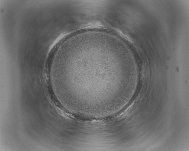 X0000070411400200606091139