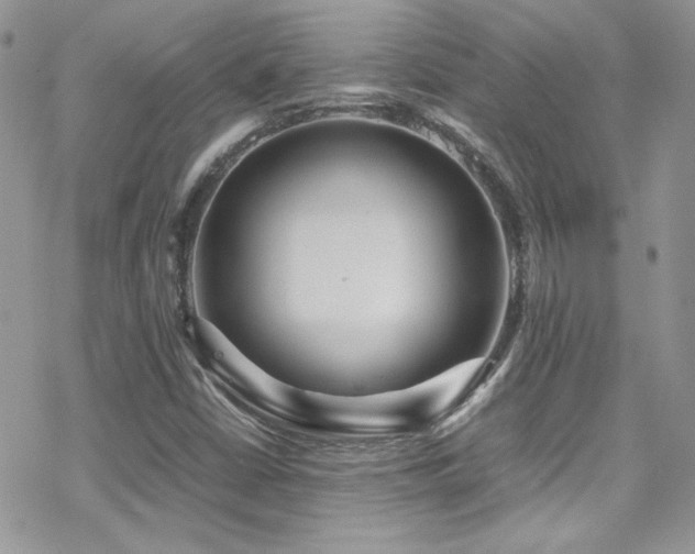 X0000070411402200606091139