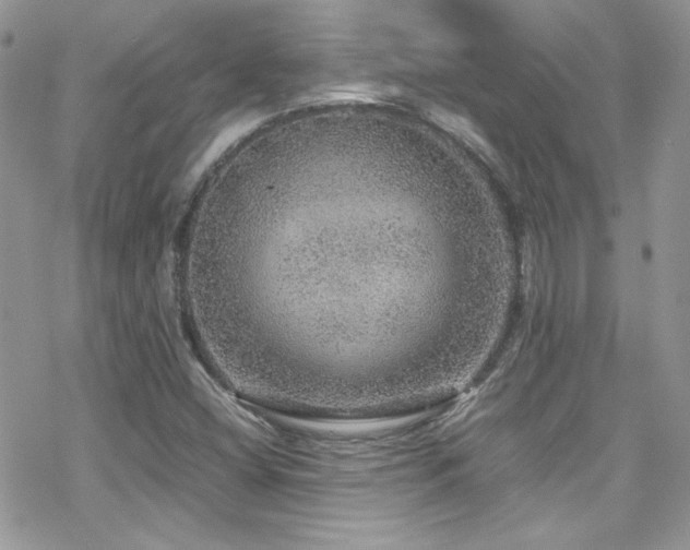 X0000070411404200606091139