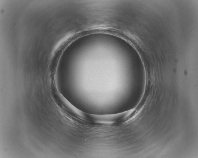 X0000070411406200606091139