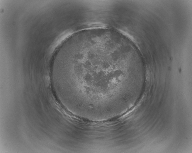 X0000070411407200606091139