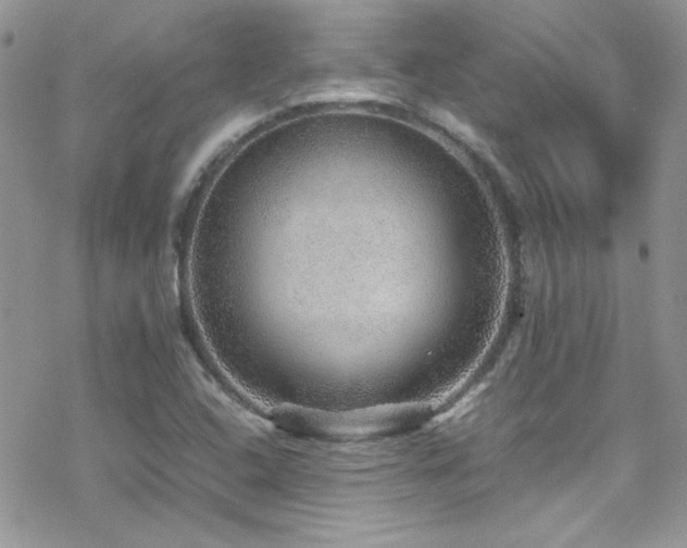 X0000070411408200606091139