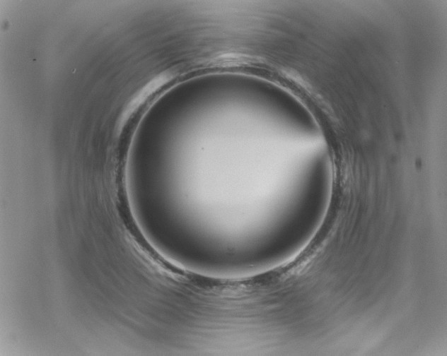 X0000070411410200606091140