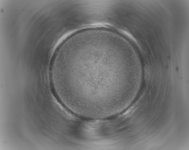 X0000070411412200606091140