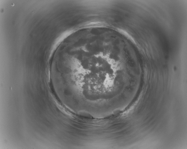 X0000070411413200606091140