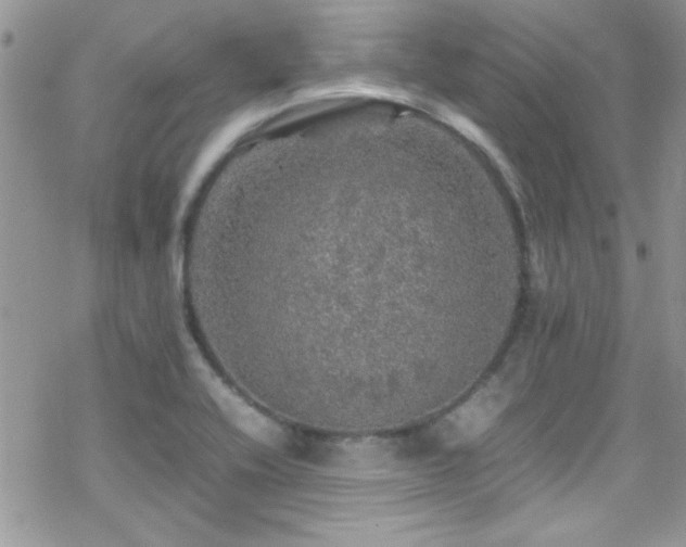 X0000070411416200606091140