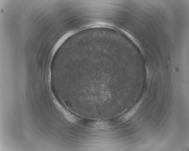 X0000070411418200606091140