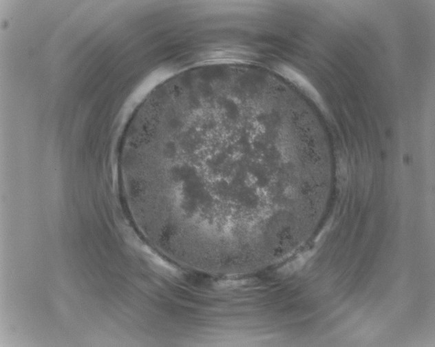 X0000070411419200606091140