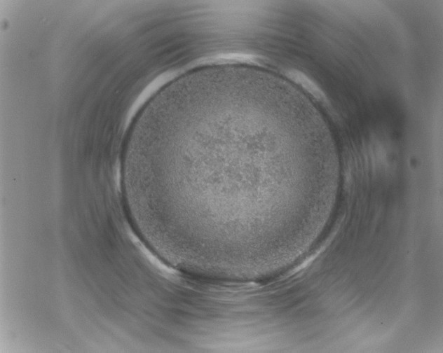 X0000070411420200606091140