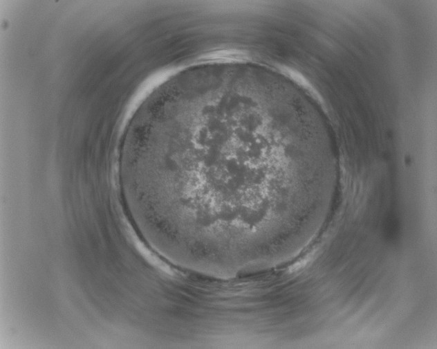 X0000070411421200606091140