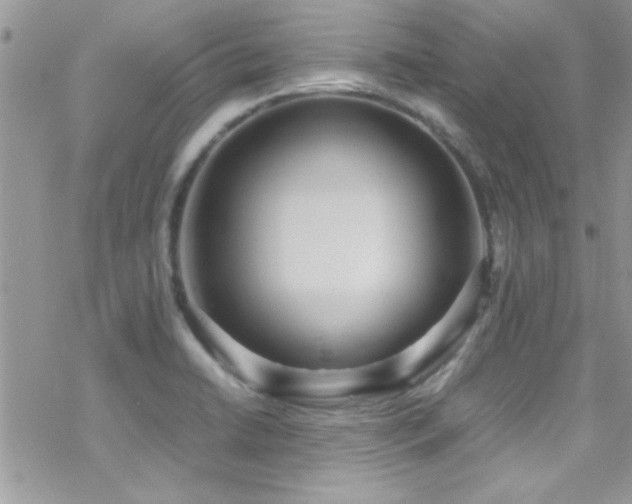 X0000070411422200606091140