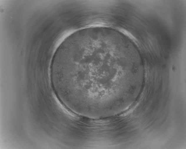 X0000070411423200606091140