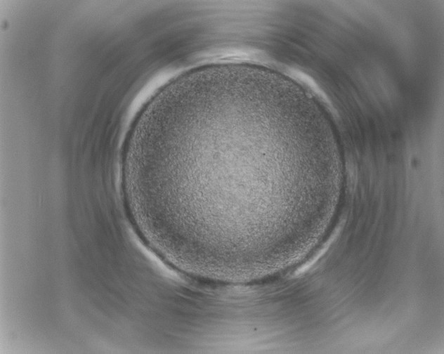 X0000070411424200606091140