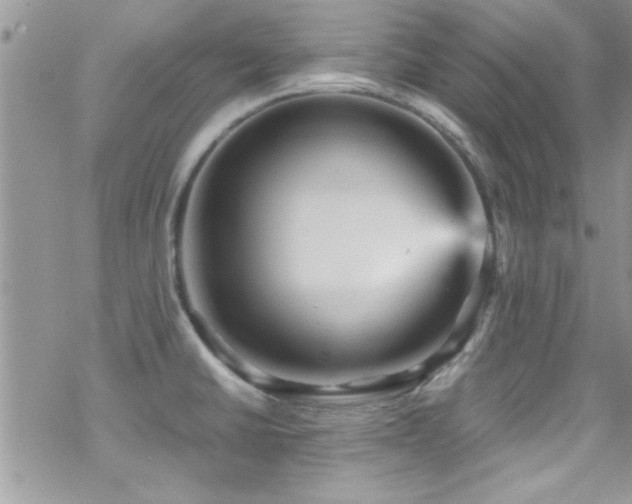 X0000070411430200606091140