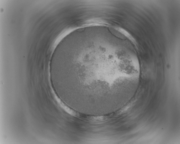 X0000070411431200606091140