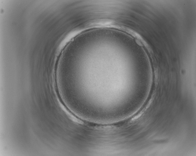 X0000070411432200606091140