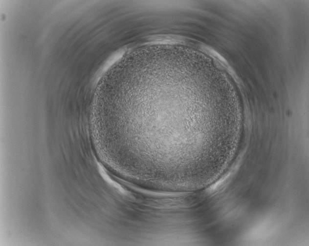 X0000070411433200606091140