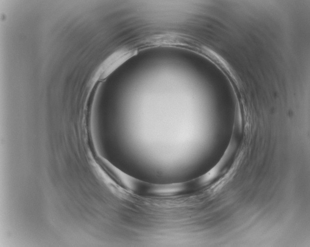 X0000070411434200606091140