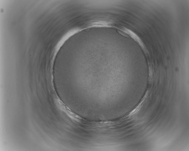 X0000070411435200606091140