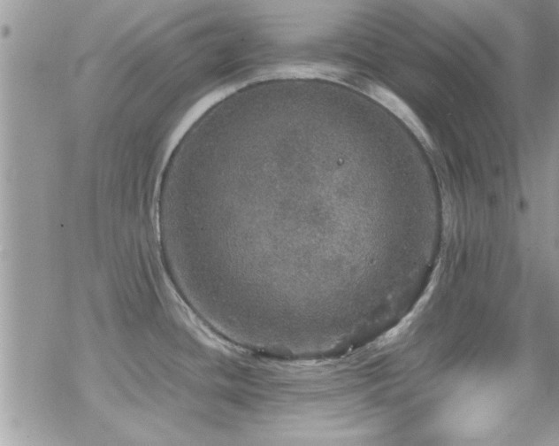 X0000070411436200606091140