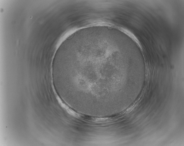 X0000070411439200606091140