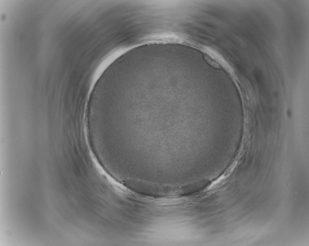 X0000070411440200606091140