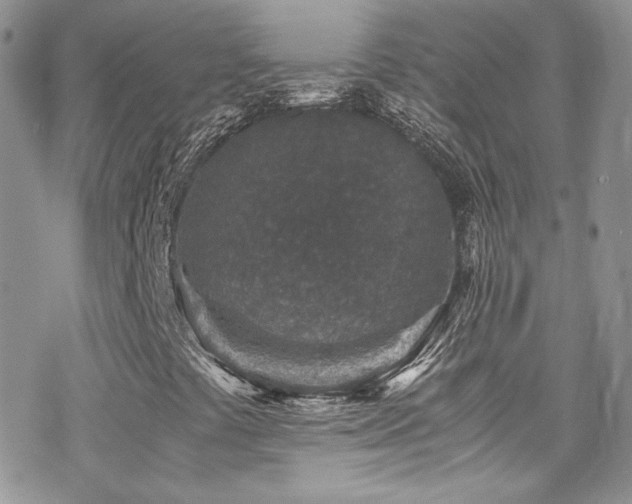 X0000070411441200606091139