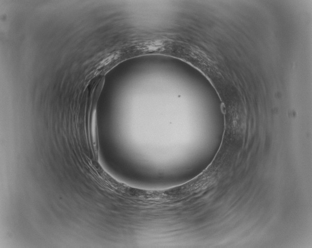 X0000070411442200606091139