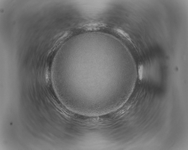 X0000070411444200606091139