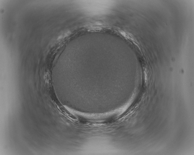 X0000070411445200606091139