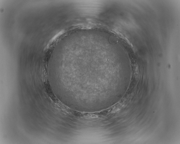 X0000070411446200606091139