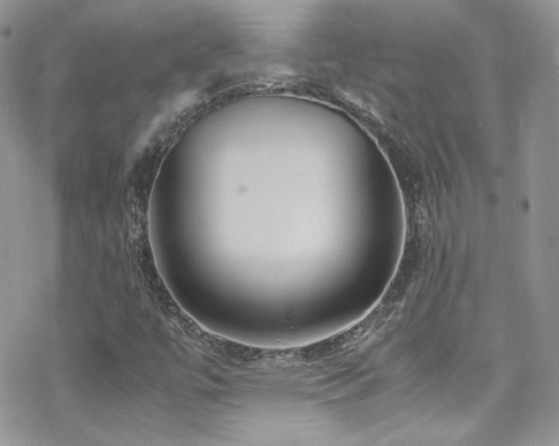 X0000070411447200606091139