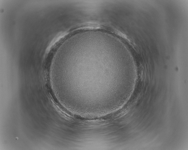 X0000070411448200606091139