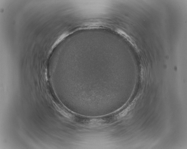 X0000070411449200606091139