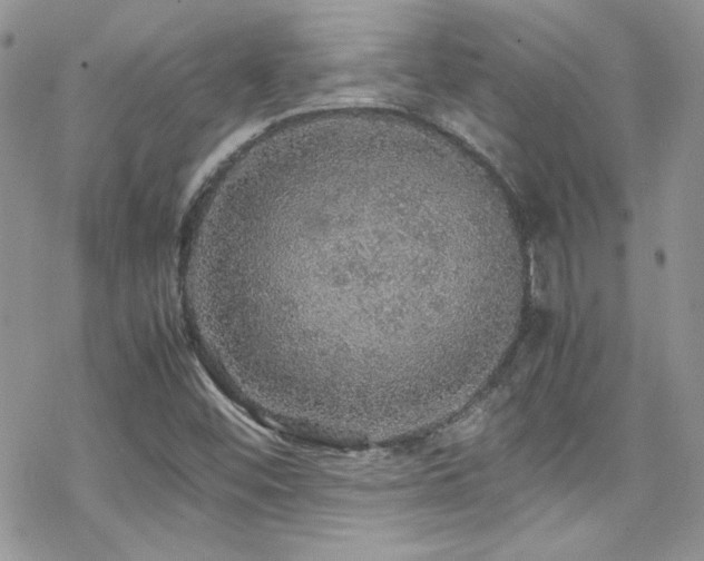 X0000070411452200606091139