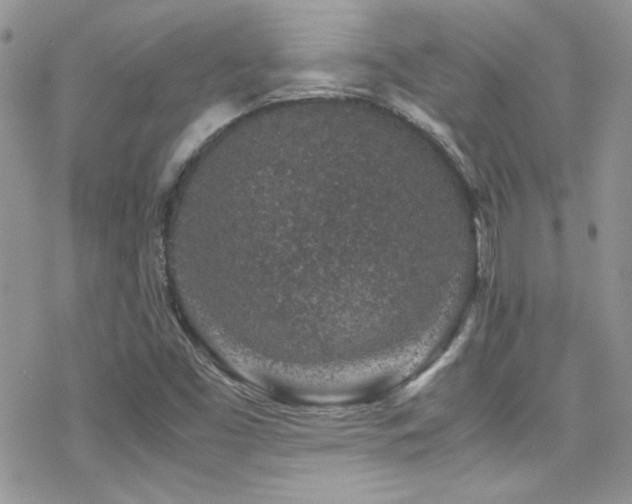 X0000070411453200606091139