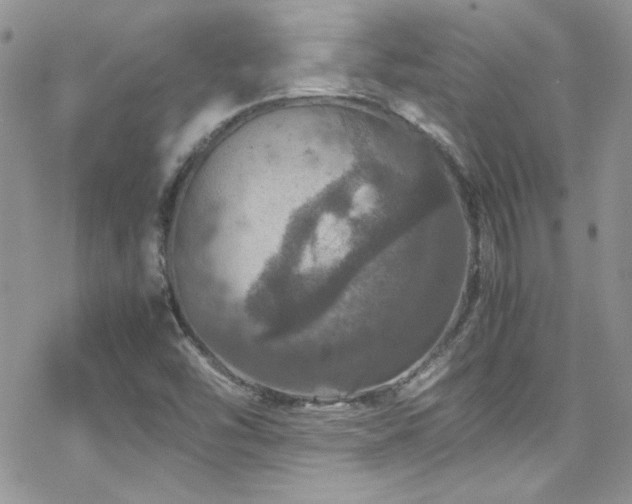 X0000070411454200606091139