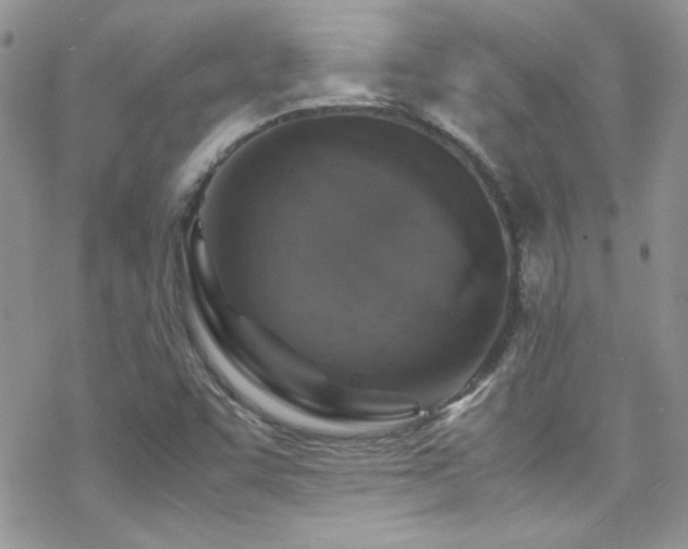 X0000070411455200606091139