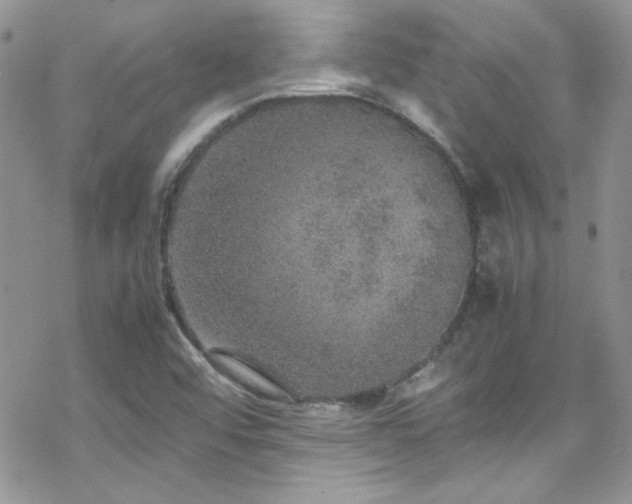 X0000070411456200606091139