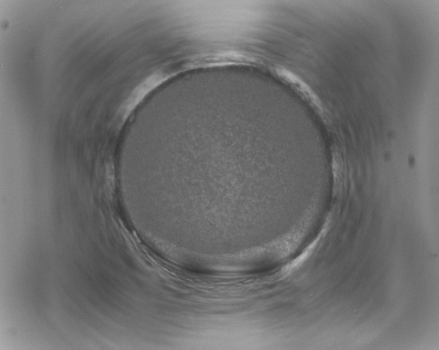 X0000070411457200606091139