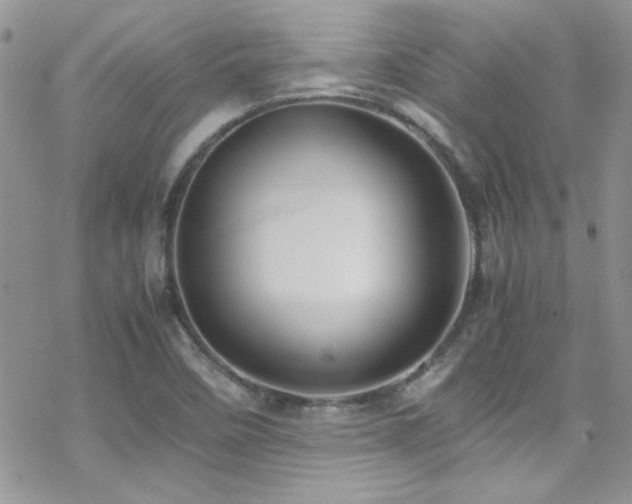 X0000070411458200606091139