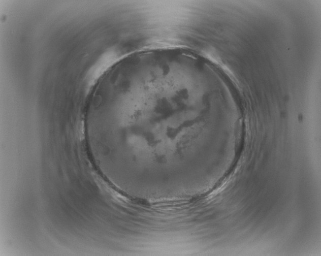 X0000070411459200606091139