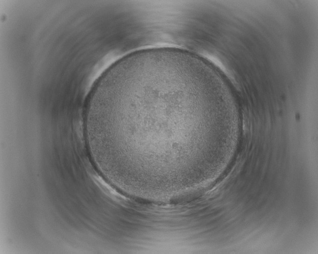 X0000070411460200606091139