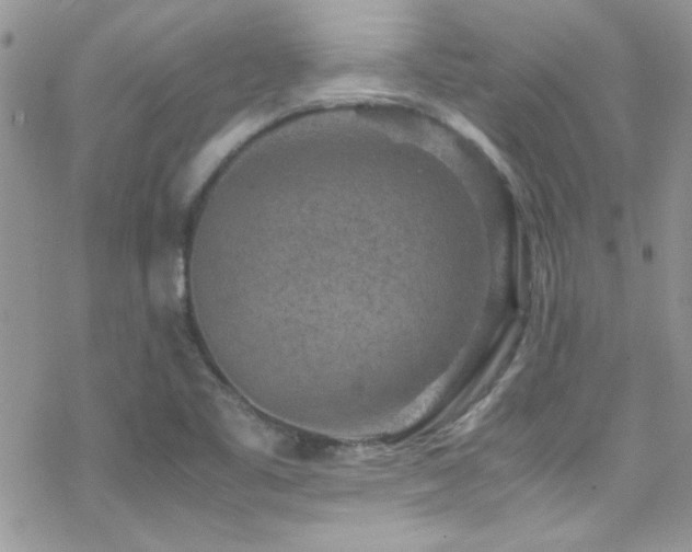 X0000070411461200606091139