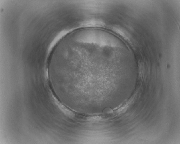 X0000070411462200606091139