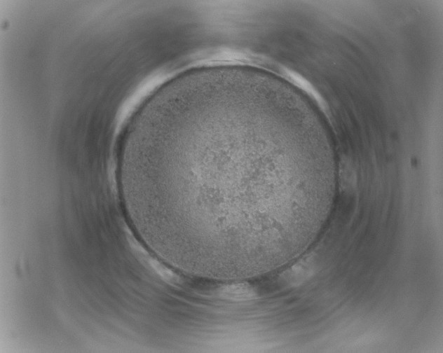 X0000070411464200606091139