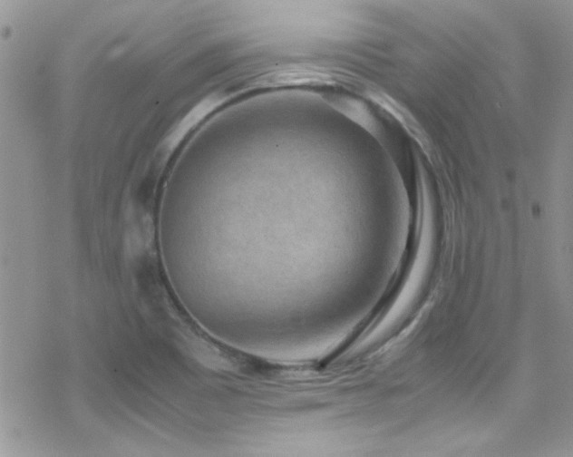 X0000070411465200606091139