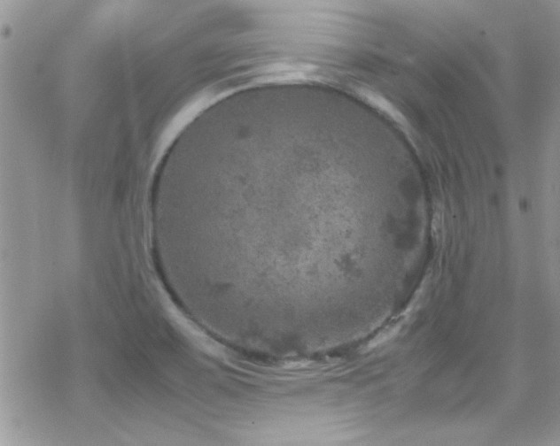 X0000070411467200606091139