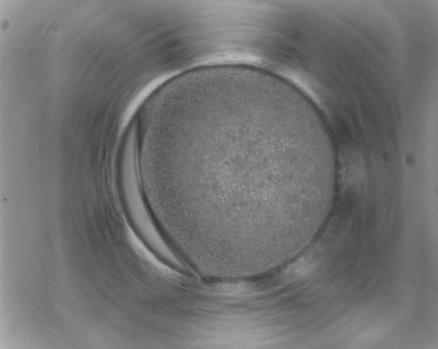 X0000070411468200606091139