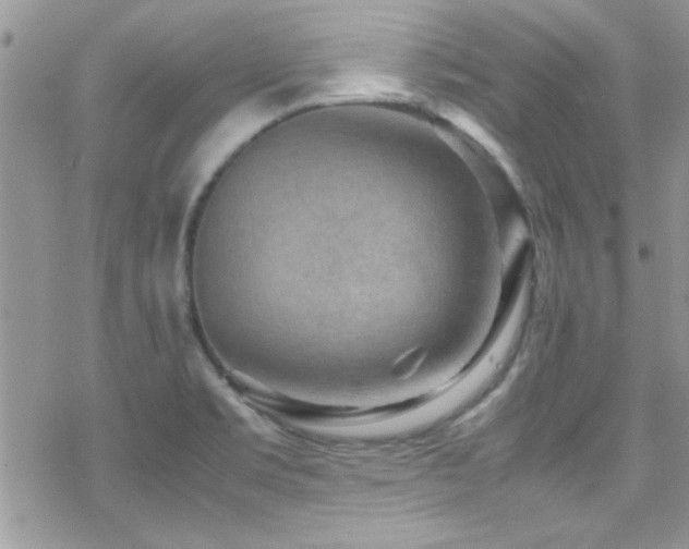 X0000070411469200606091139